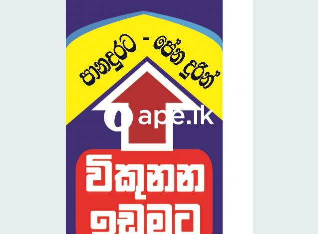 à¶´à·à¶±à¶¯à·”à¶» à¶šà·”à¶»à·”à¶´à·Šà¶´à·”à¶¸à·”à¶½à·Šà¶½à·™à¶±à·Š  à·ƒà·”à¶´à·’à¶»à·’ à¶±à·šà·€à·